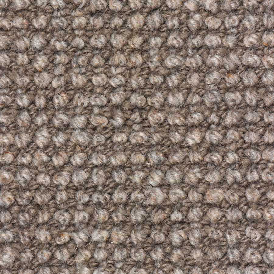 Lifestyle Carpet Collection