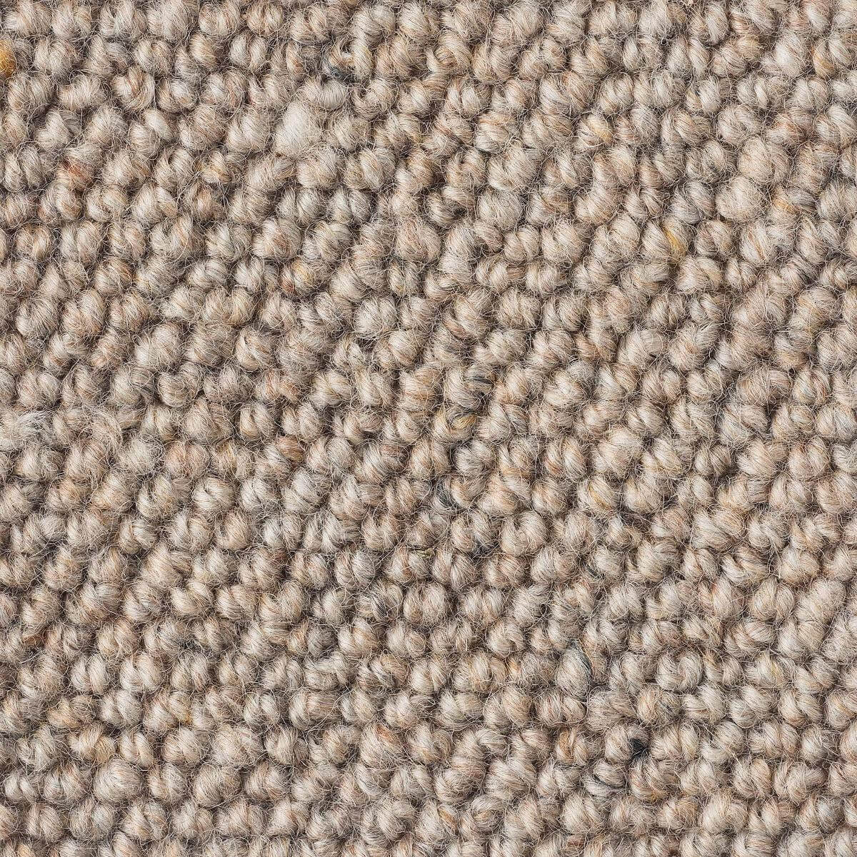 Lifestyle Carpet Collection