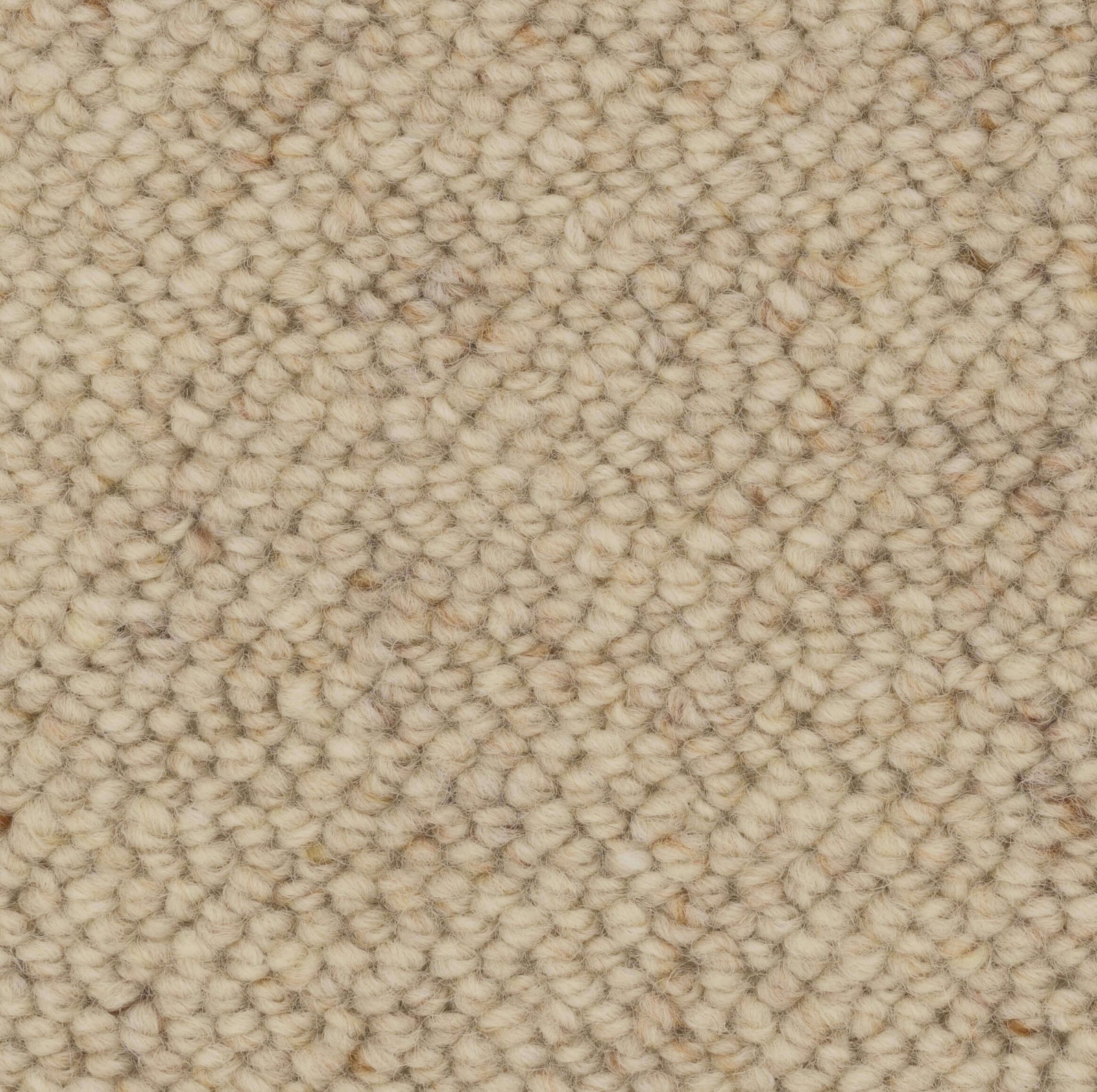 Lifestyle Carpet Collection