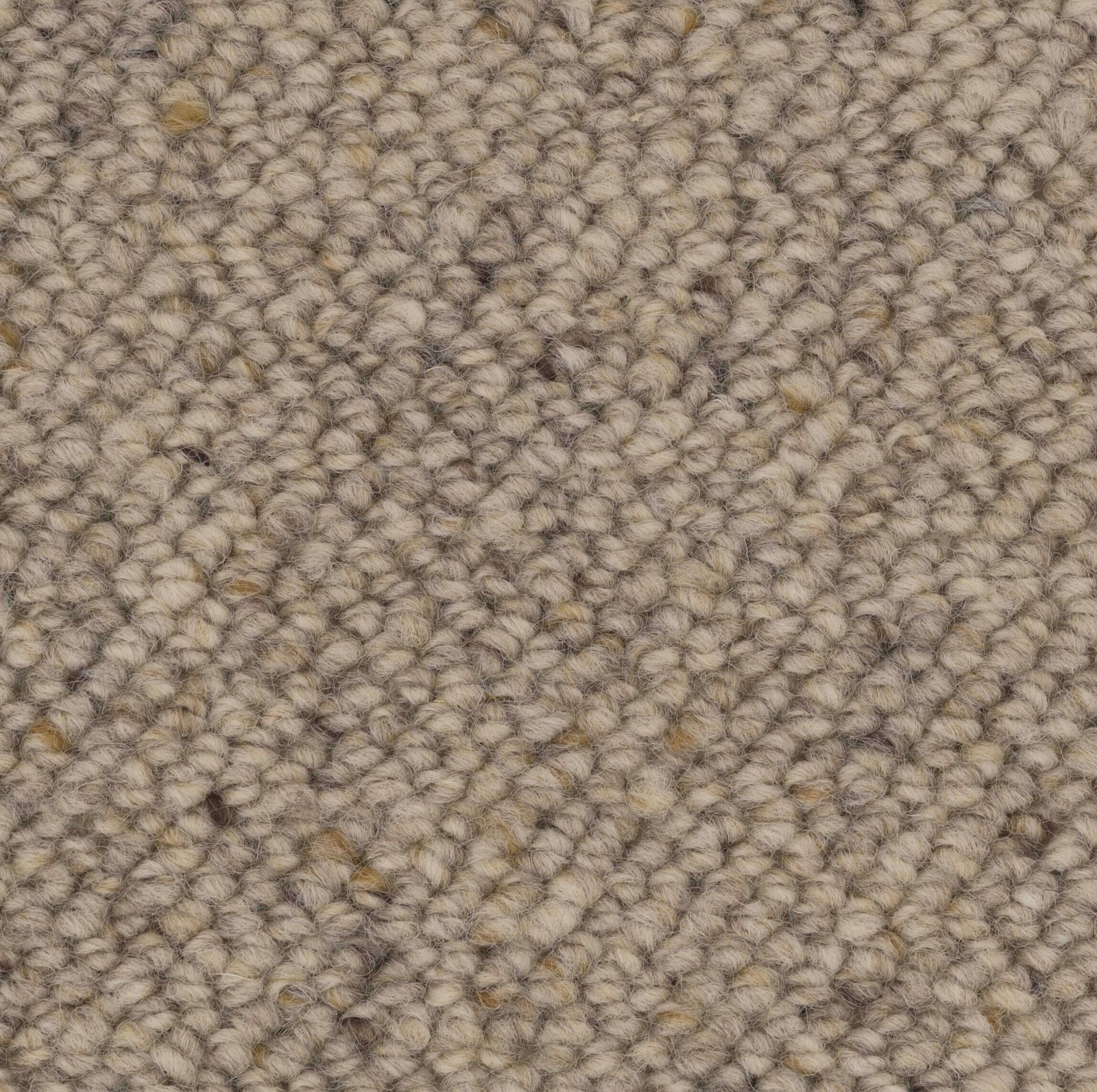 Lifestyle Carpet Collection