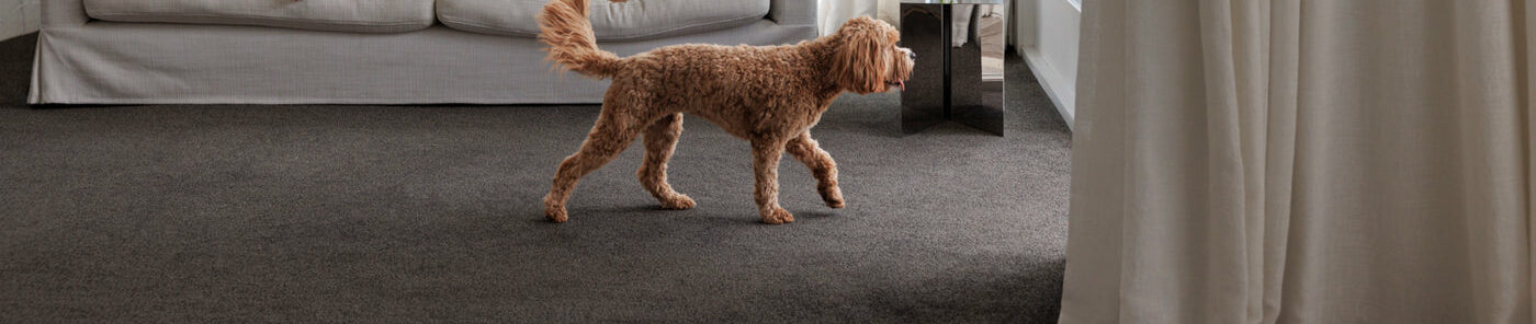 Slocum Carpet Floorcoverings